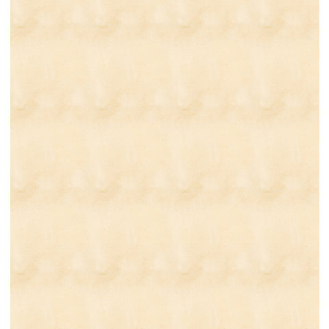 тетрадь 12 листов Машинки в клетку 017853