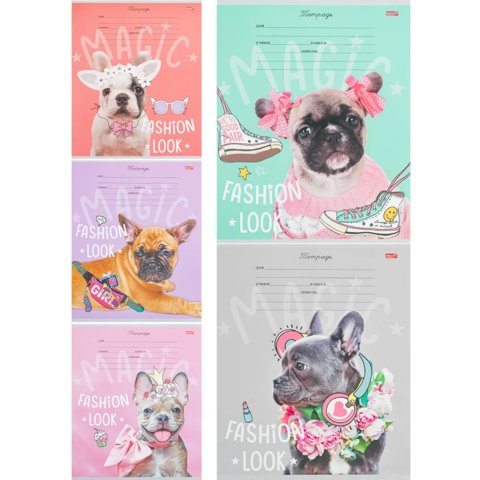 тетрадь 12 листов Французские Бульдоги в косую линейку т12-3596