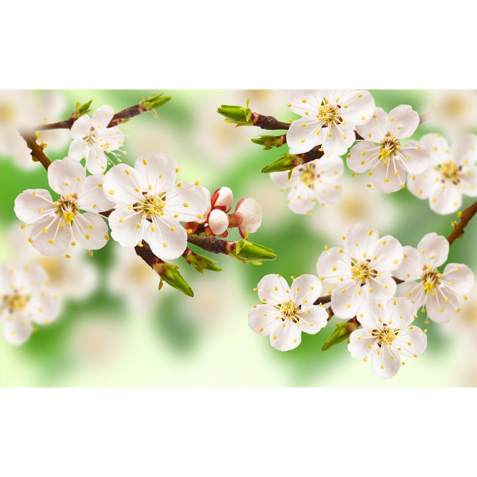 косметичка для девочки Кря-Кря 321157 078484