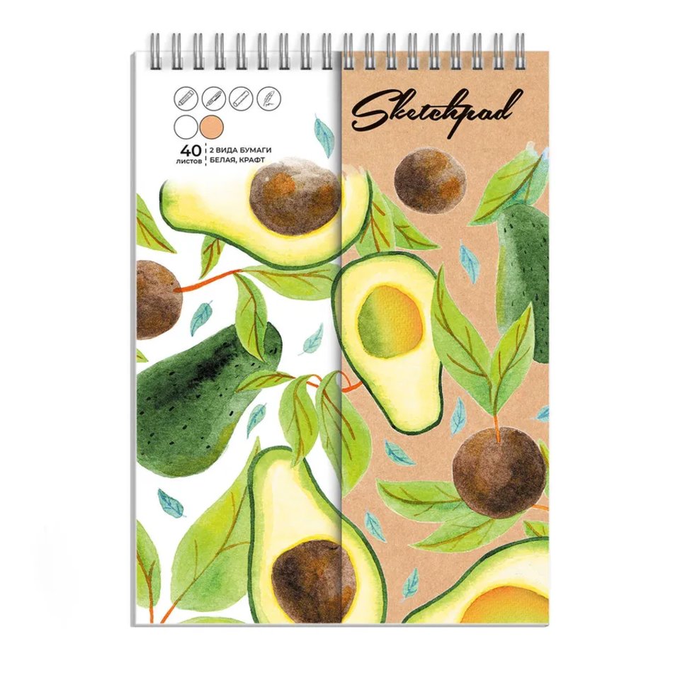 скетчбук А5 40л Авокадо 80г/м два вида бумаги 62771
