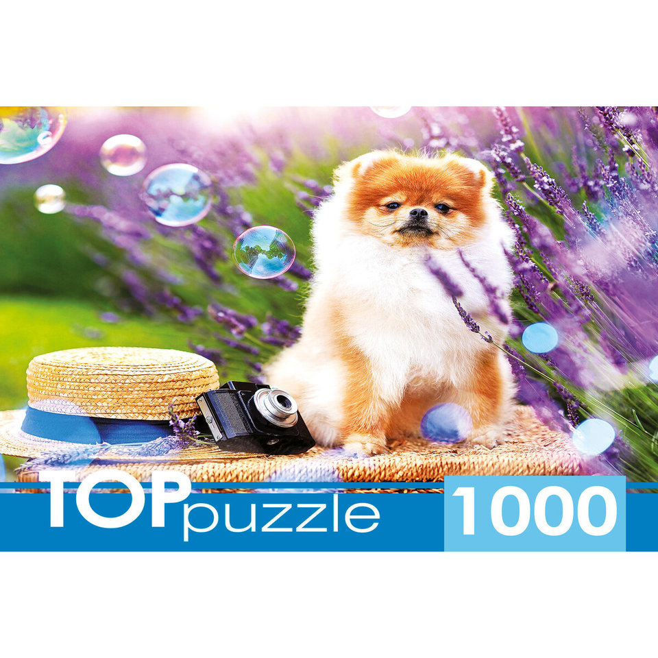 пазл 1000 элементов Шпиц в Саду TOPpuzzle шттп1000-9859