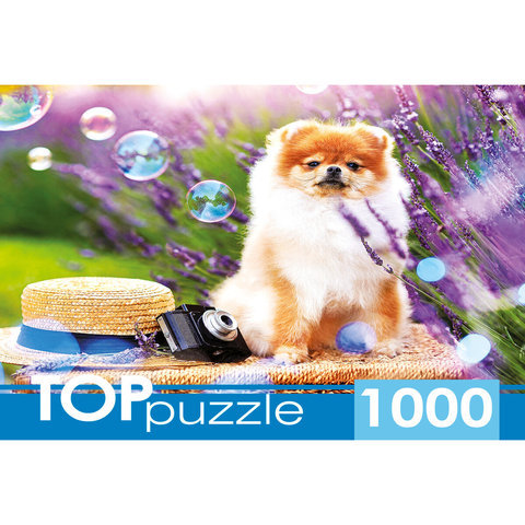 пазл 1000 элементов Шпиц в Саду TOPpuzzle шттп1000-9859