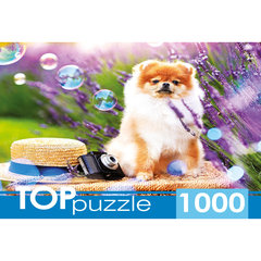 пазл 1000 элементов Шпиц в Саду TOPpuzzle шттп1000-9859