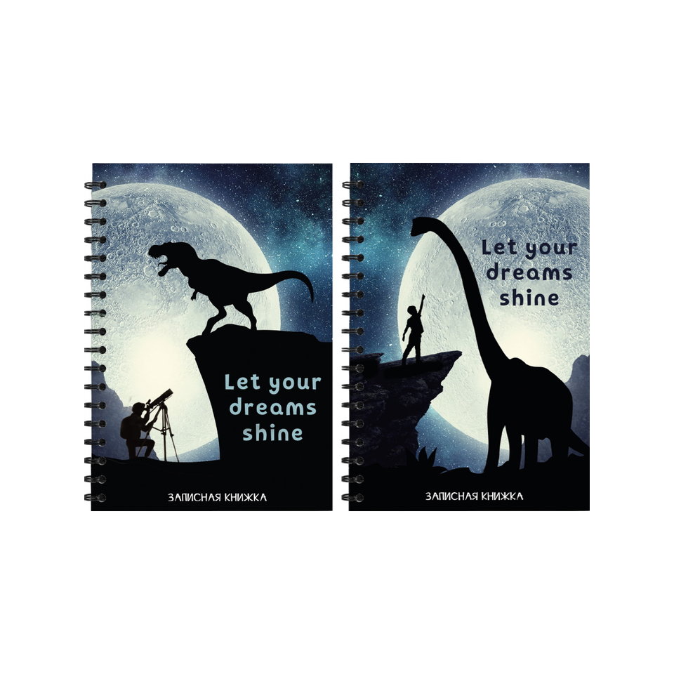 записная книжка А6 80 листов Мечты Наяву 7979
