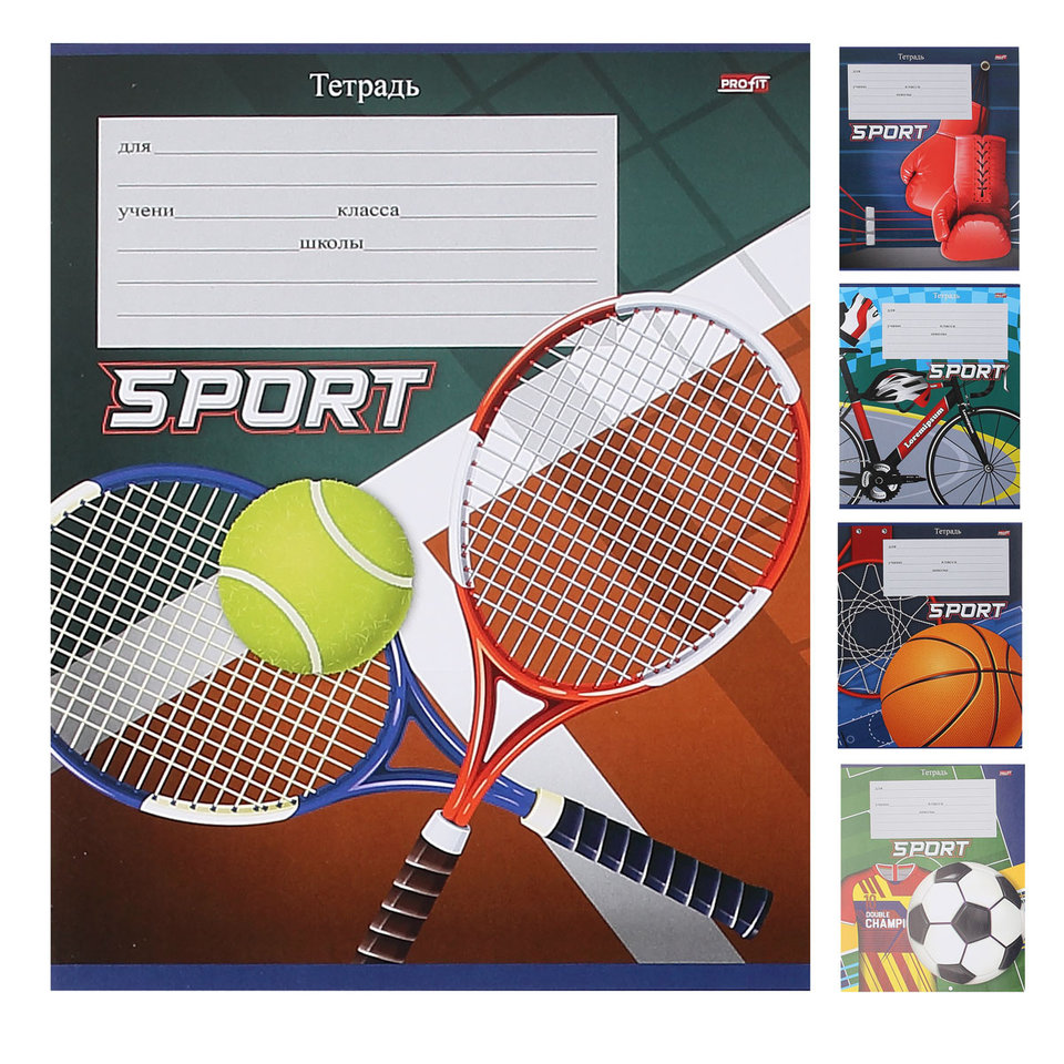 тетрадь 24 листа Спортивные Атрибуты в клетку 9375