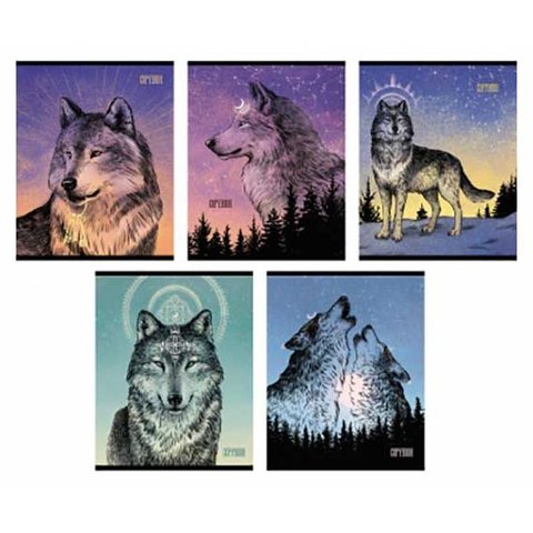 тетрадь 48л Дух леса клетка 120010