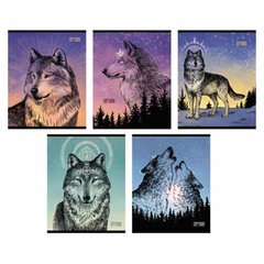 тетрадь 48л Дух леса клетка 120010