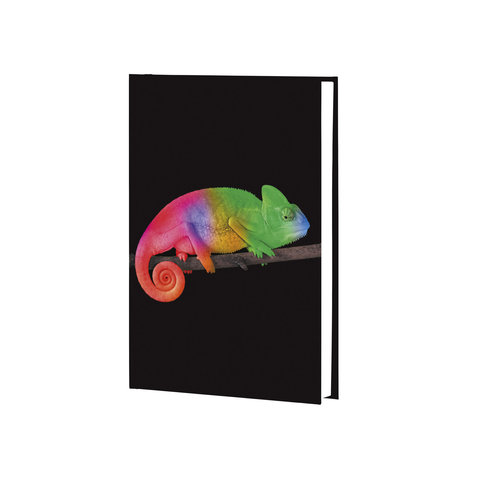 книга для записи А5 96 листов Хамелеон ети596578