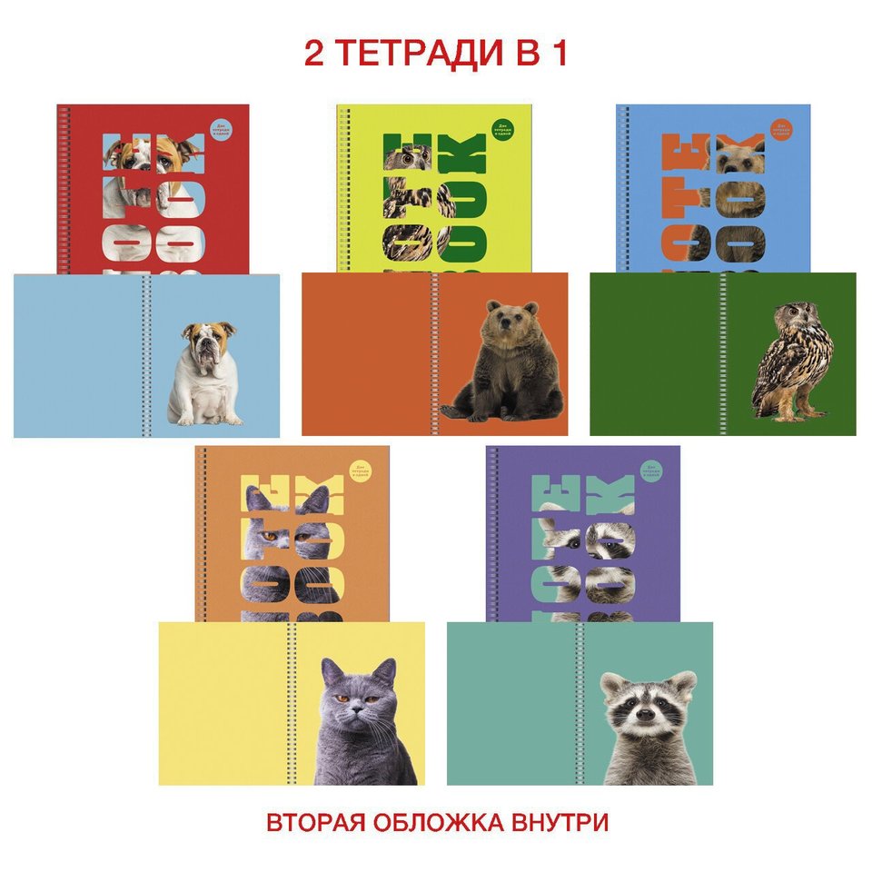 тетрадь 96 листов Зоо Микс в клетку тсл968465