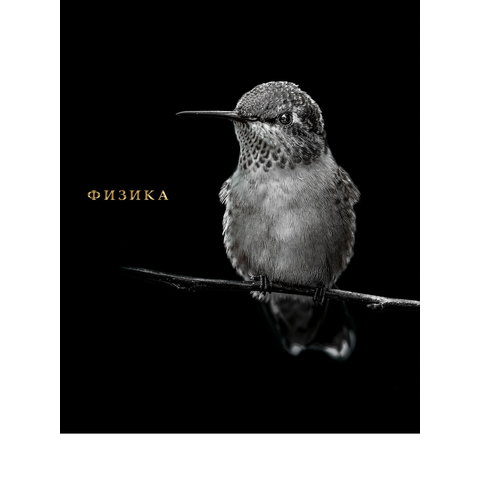 тетрадь предметная 48 листов Физика Blacksoft 1740