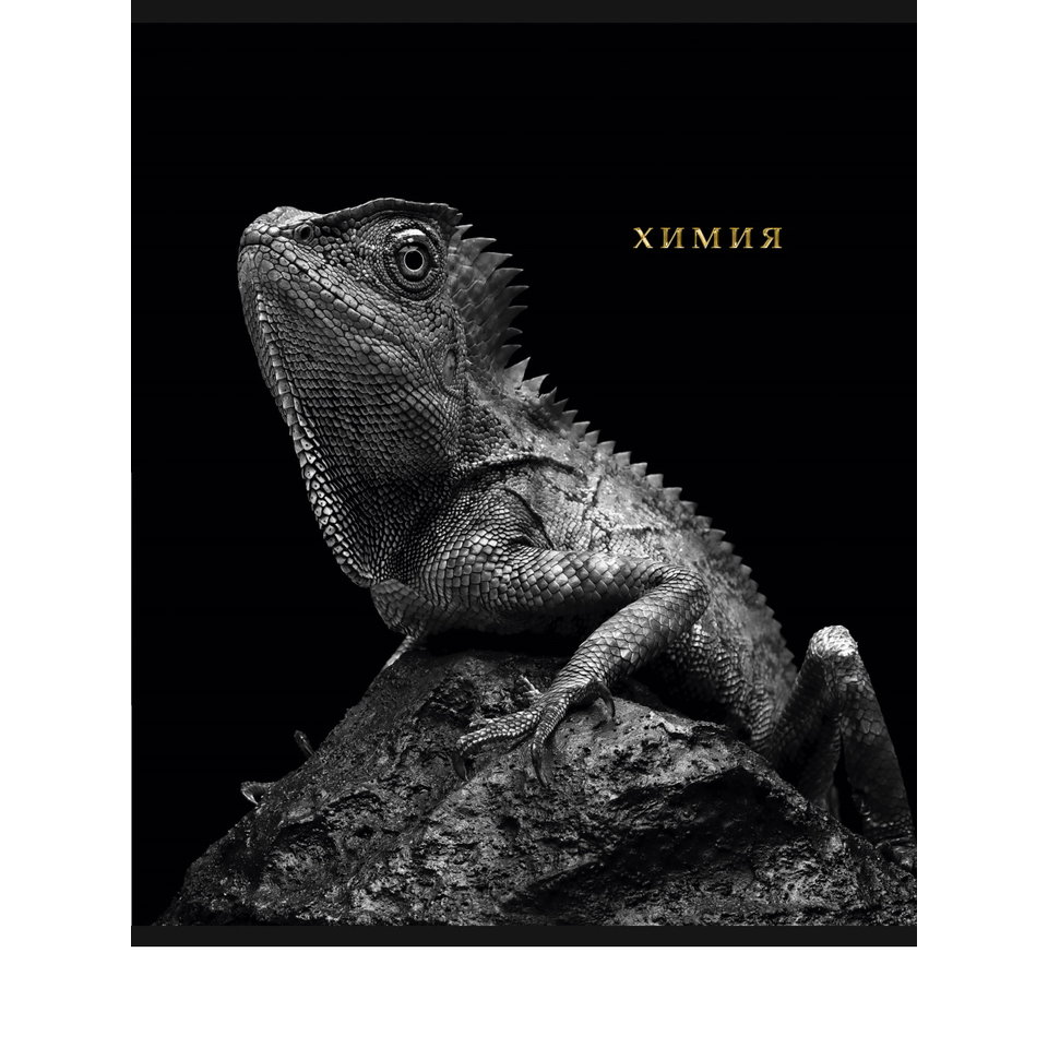 тетрадь предметная 48 листов Химия Blacksoft 1741