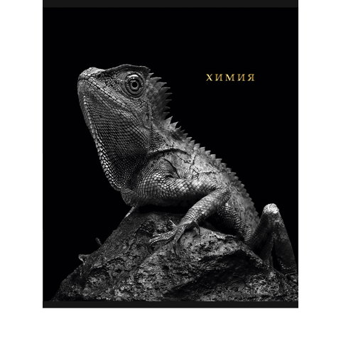 тетрадь предметная 48 листов Химия Blacksoft 1741