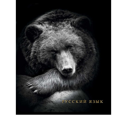 тетрадь предметная 48 листов Русский Язык Blacksoft 1743