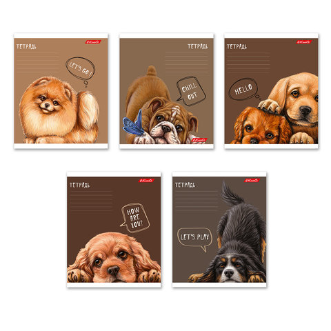 тетрадь 24 листа Мои Друзья в линейку 000381