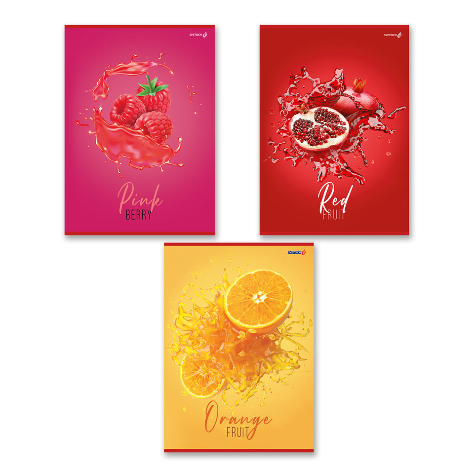 тетрадь А4 96 листов Живи На Яркой Стороне в клетку 000468