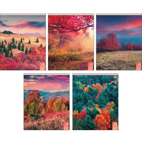 тетрадь 48л На природе клетка тк488525