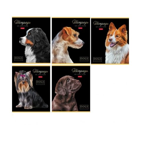 тетрадь 48л Портрет лучшего друга клетка 080210