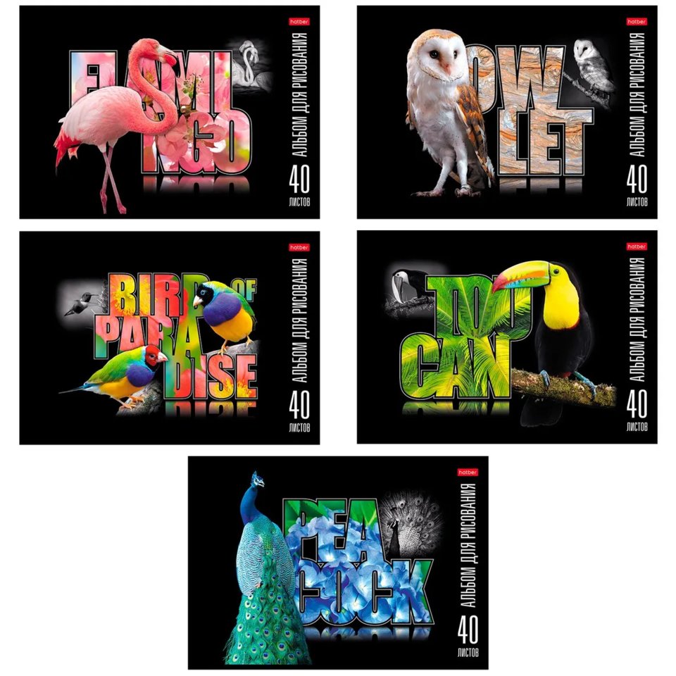 альбом для рисования 40л Птица дивная 061423
