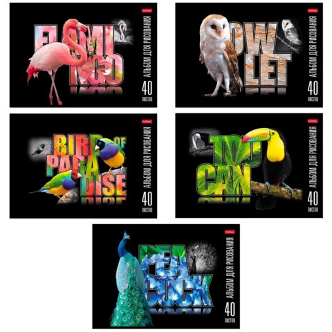 альбом для рисования 40л Птица дивная 061423