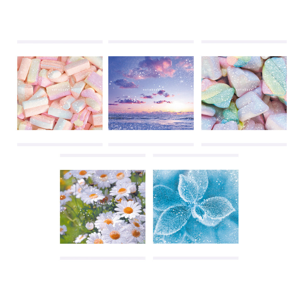 тетрадь 96 листов Нежность в клетку тб968372