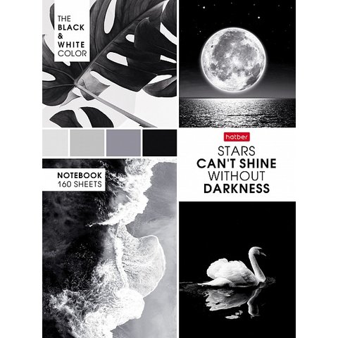 тетрадь на кольцах 160л Лунный свет 29680 081589