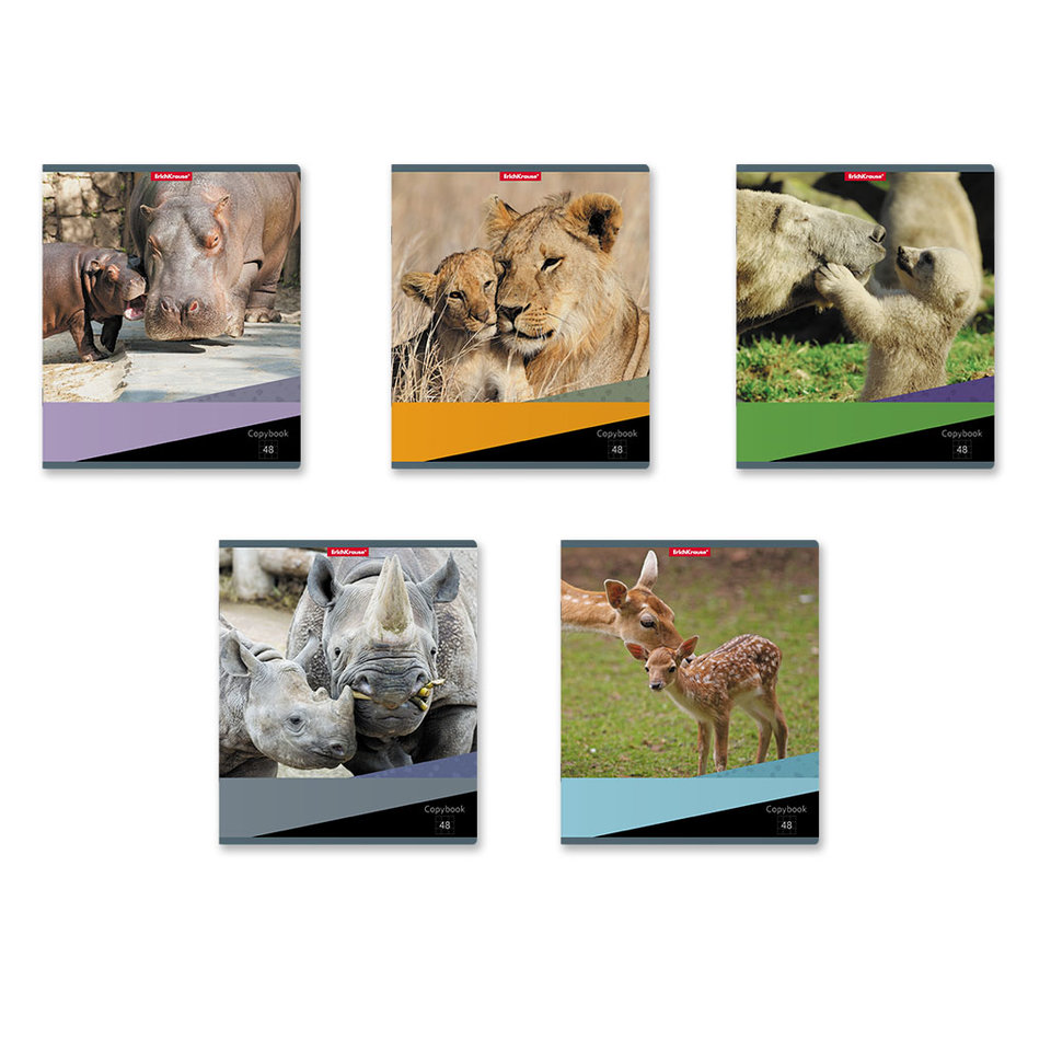 тетрадь 48л Идиллия клетка 47527