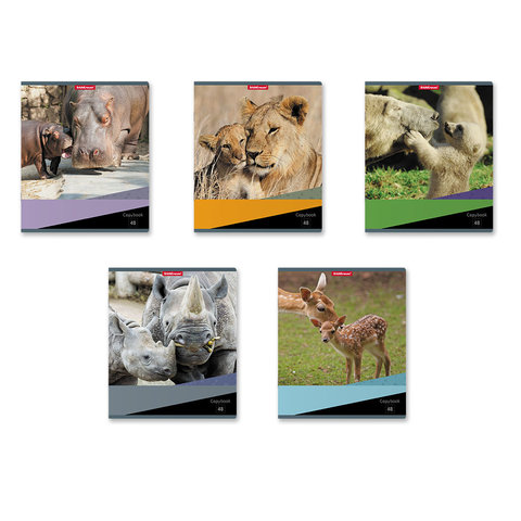 тетрадь 48л Идиллия клетка 47527