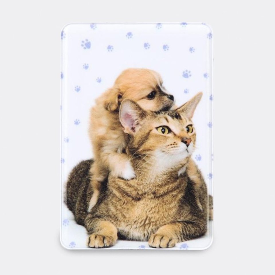 обложка для проездного ПВХ в ассортименте 2925805/6