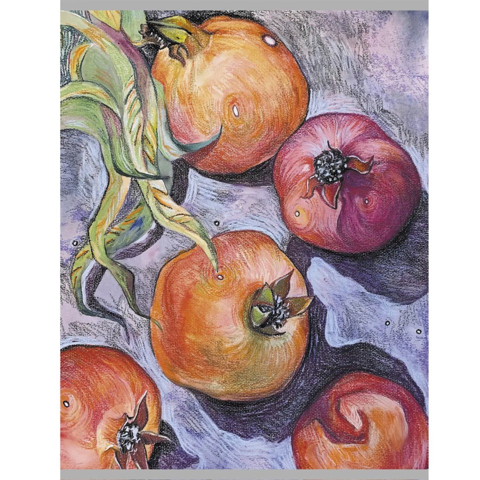 тетрадь А4 48 листов Спелые Гранаты т4485009