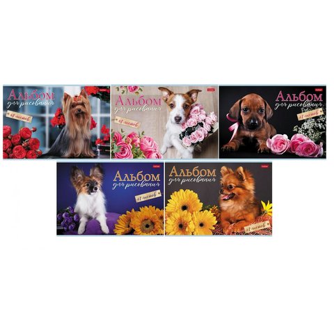 альбом для рисования 48л Наши песики 079744