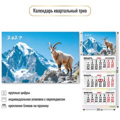 календарь квартальный 3 блока 3 гребня офис Символ Года 10015 2027г