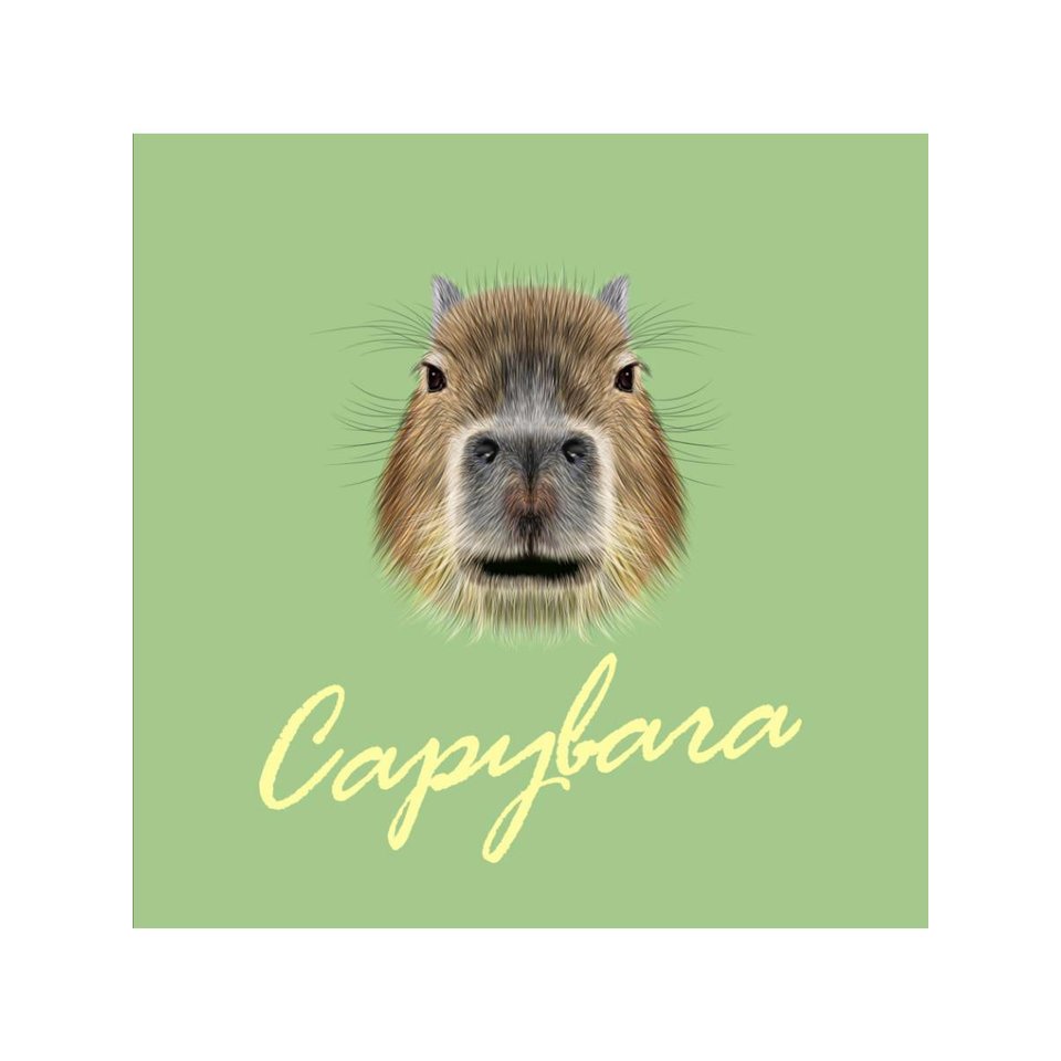 обложка для паспорта Капибара Анфас пвх оп-1297