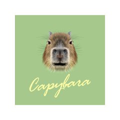 обложка для паспорта Капибара Анфас пвх оп-1297