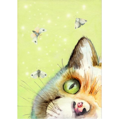 обложка для паспорта Котик на зеленом пвх оп-1294