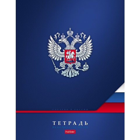 тетрадь на кольцах 160л Россия 15607 081604