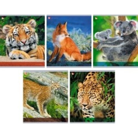 тетрадь 96 листов Удивительные животные в клетку 965019