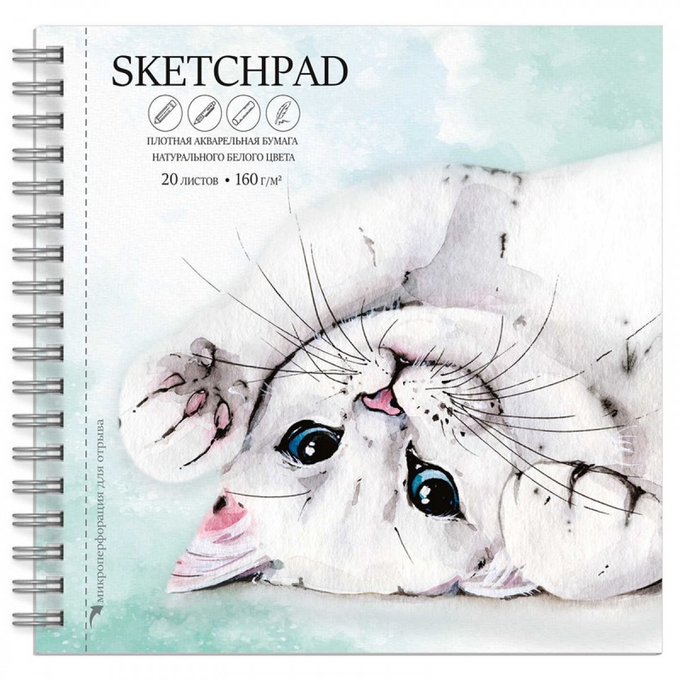 скетчбук А5 20 листов Кот 195х195мм 160г/м 62833