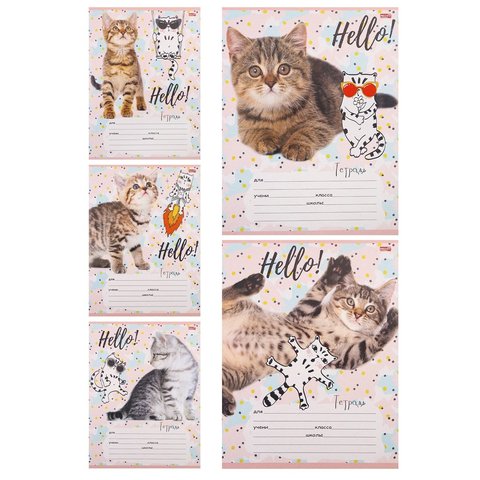 тетрадь 12 листов Забавный Котик в клетку 4374