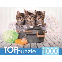 пазл 1000 элементов Три Котенка TopPuzzle шттп1000-7182