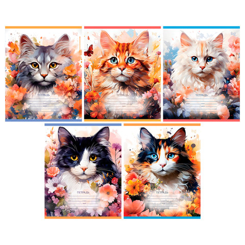 тетрадь 12л Кошки частая косая линия 55434 364927