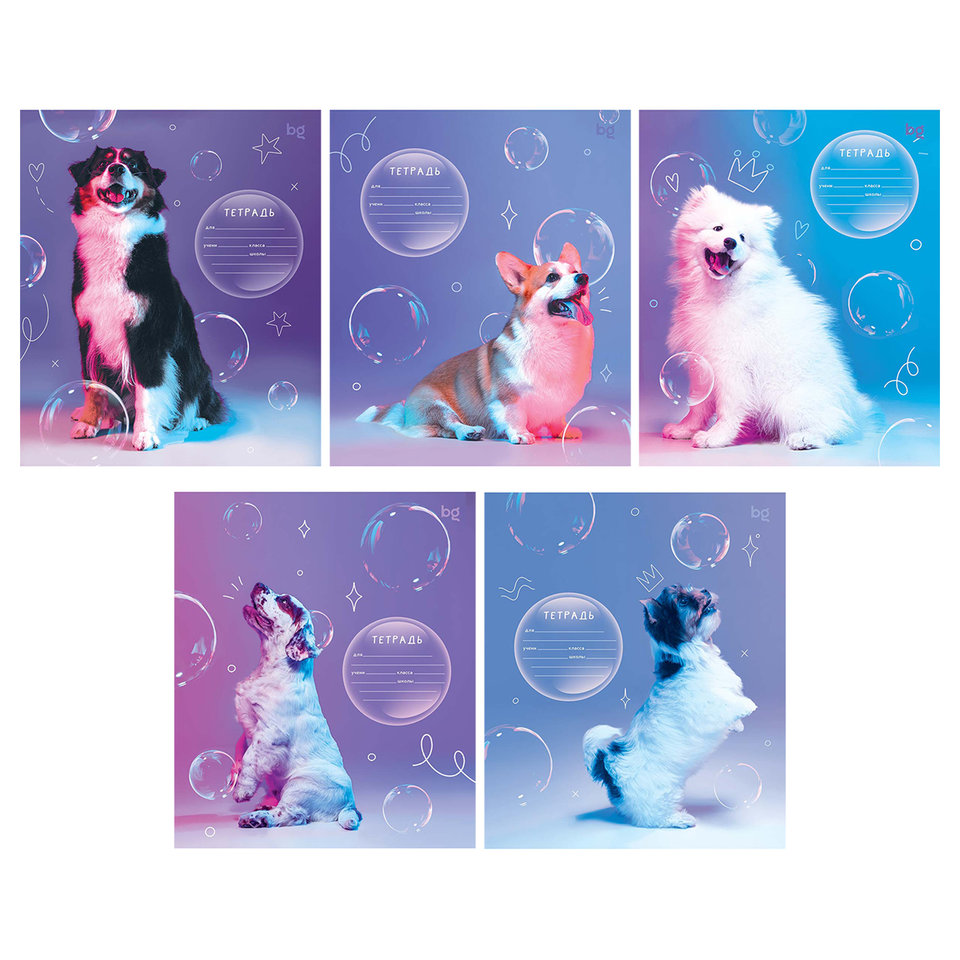 тетрадь 12л Собаки частая косая линия 5542 364931
