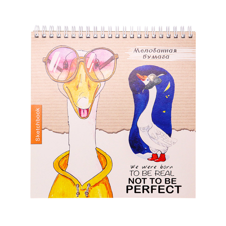 скетчбук А5 40л Веселый гусь 150г/м 5658