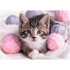 пазлы 260 Котенок с клубками 54625 360246