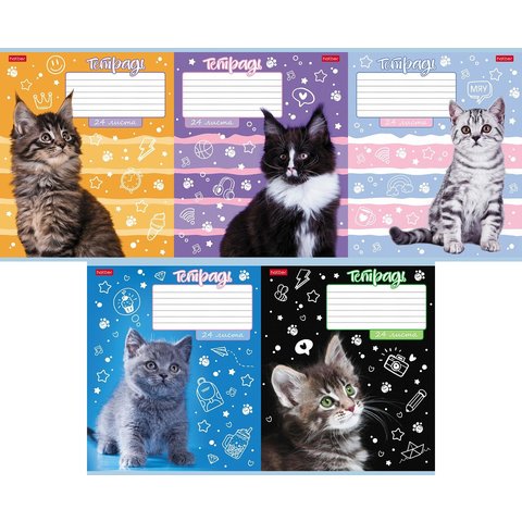 тетрадь 24 листа Ушки на Макушке в клетку 086604