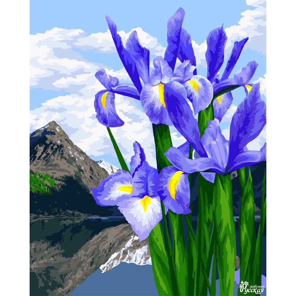 картина по номерам Цветы весны 40х50см b118