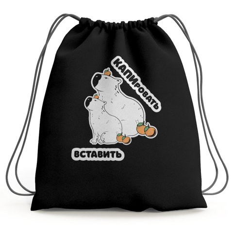 сумка для обуви Капибара 36х44см 240443