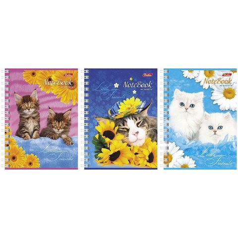 записная книжка А6 80л Милые котята гребень 030957