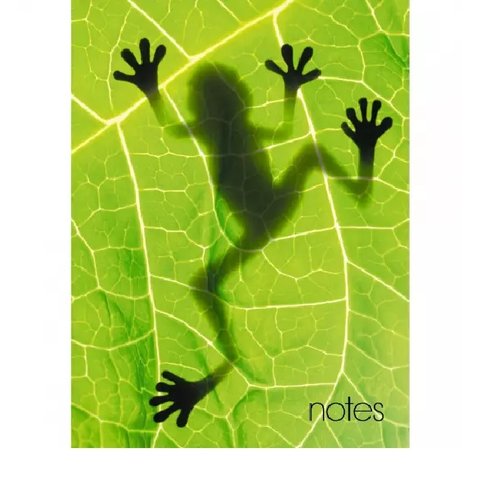 записная книжка А6 80 листов Frog кз6803742 записная книжка А6 80 листов Frog кз6803742