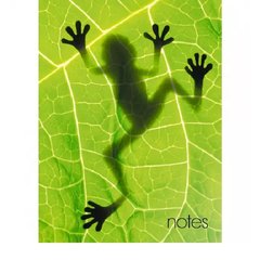 записная книжка А6 80 листов Frog кз6803742