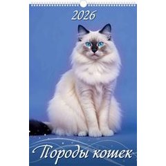 календарь настенный 32х48 Породы Кошек на спирали 0526031 2026г